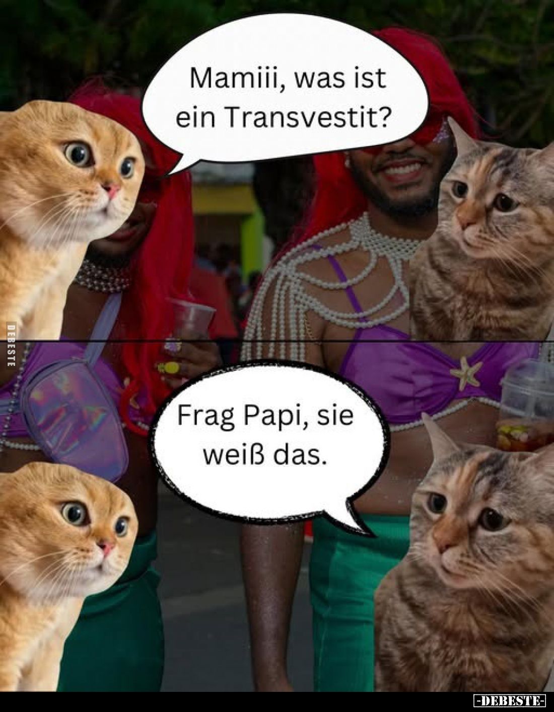 Mamiii, was ist ein Transvestit?
-
Frag Papi, sie weiß das.
