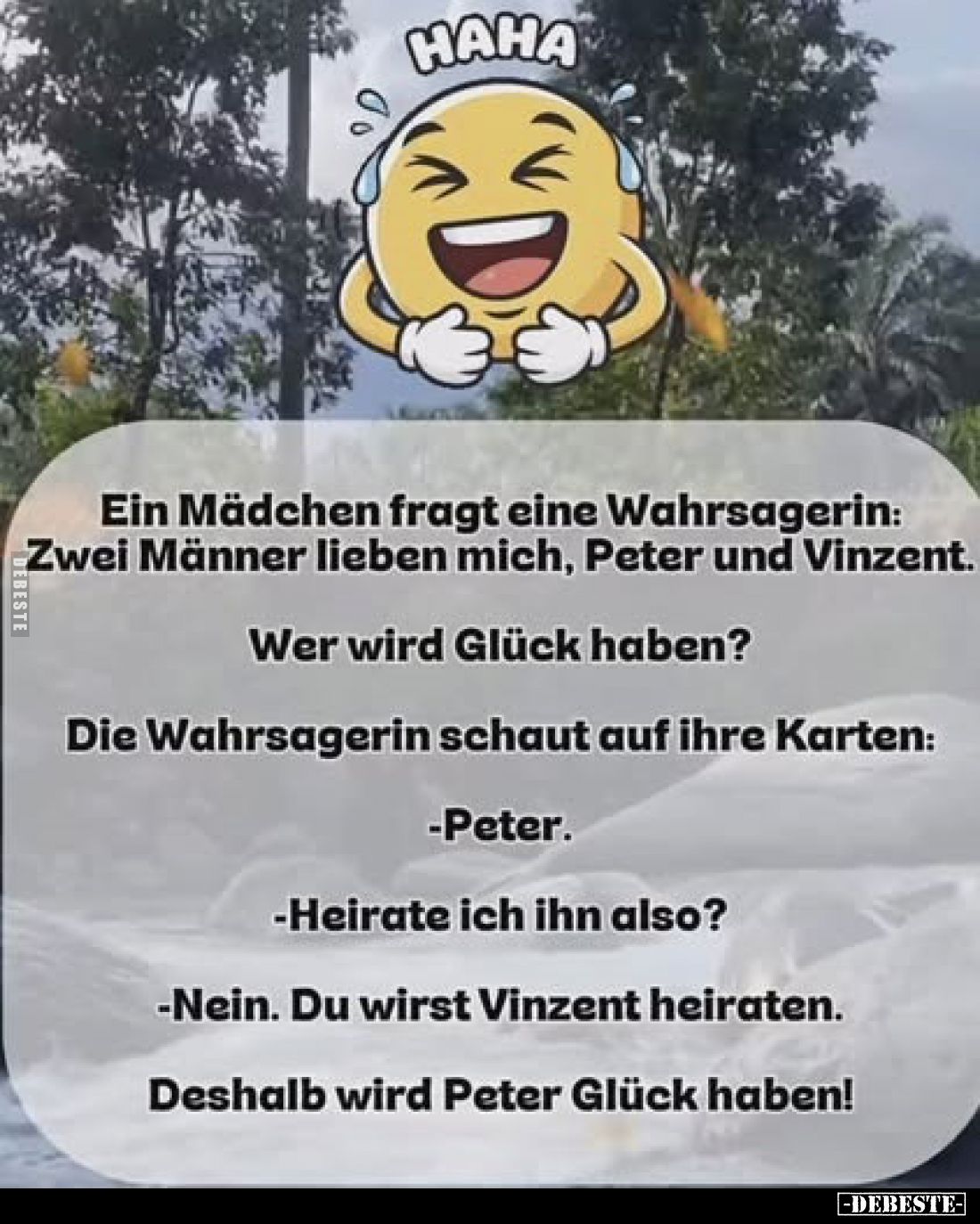 Ein Mädchen fragt eine Wahrsagerin: Zwei Männer lieben mich, Peter und Vinzent.
Wer wird Glück haben?
Die Wahrsagerin schau...