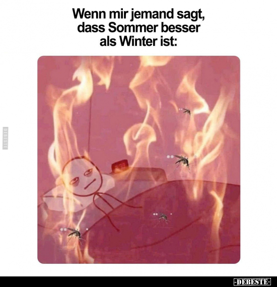 Wenn mir jemand sagt, dass Sommer besser als Winter ist.. - Lustige Bilder | DEBESTE.de