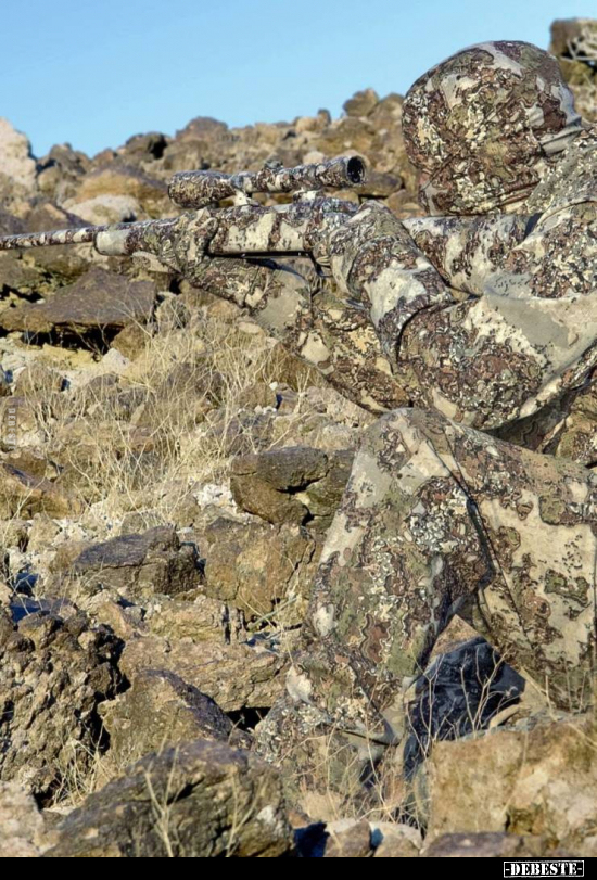 Tarnung ist alles!..