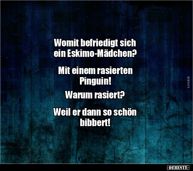 39++ Pinguin sprueche liebe , pinguin Witze und Sprüche DEBESTE.de