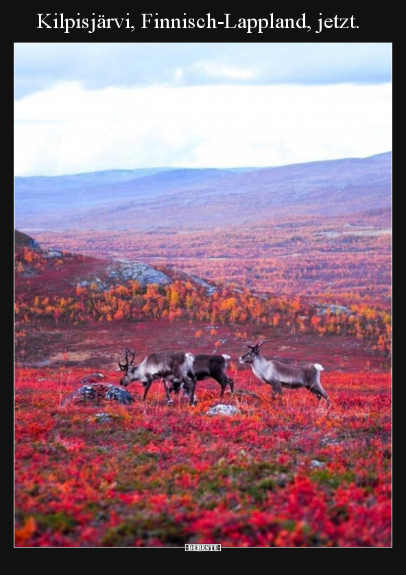 Kilpisjärvi, Finnisch-Lappland, jetzt... - Lustige Bilder | DEBESTE.de