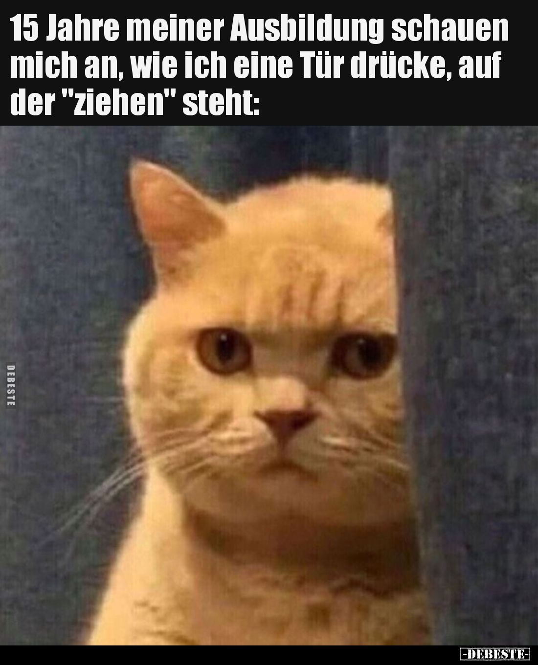 15 Jahre meiner Ausbildung schauen mich an, wie ich eine Tür drücke, auf der "ziehen" steht: