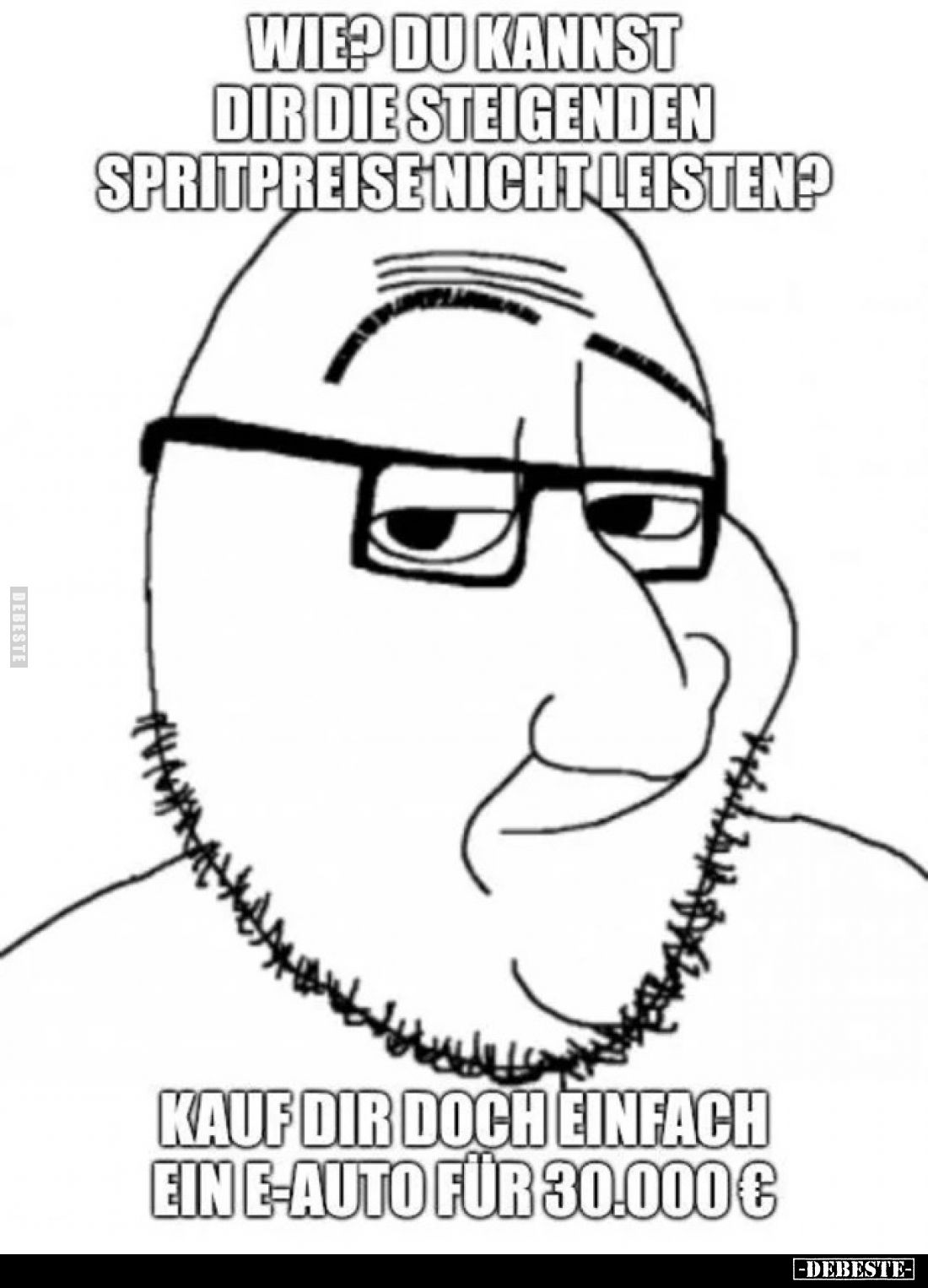 Wie? Du kannst dir die steigenden Spritpreise nicht leisten?
Kauf dir doch einfach ein E-Auto für 30.000 €