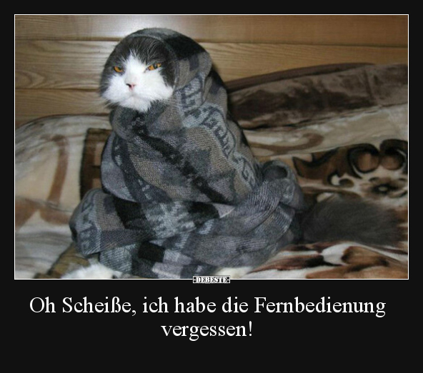 Oh Schei*ße, ich habe die Fernbedienung vergessen!.. - Lustige Bilder | DEBESTE.de