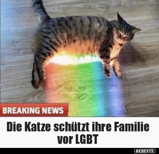 Die Katze schützt ihre Familie vor LGBT