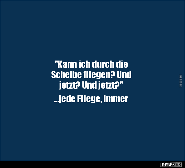 "Kann ich durch die Scheibe fliegen? Und jetzt?.." - Lustige Bilder | DEBESTE.de