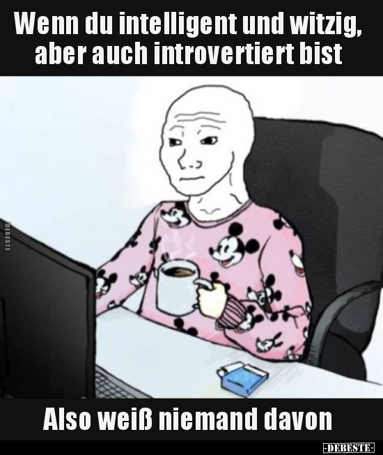 Wenn du intelligent und witzig, aber auch introvertiert.. - Lustige Bilder | DEBESTE.de