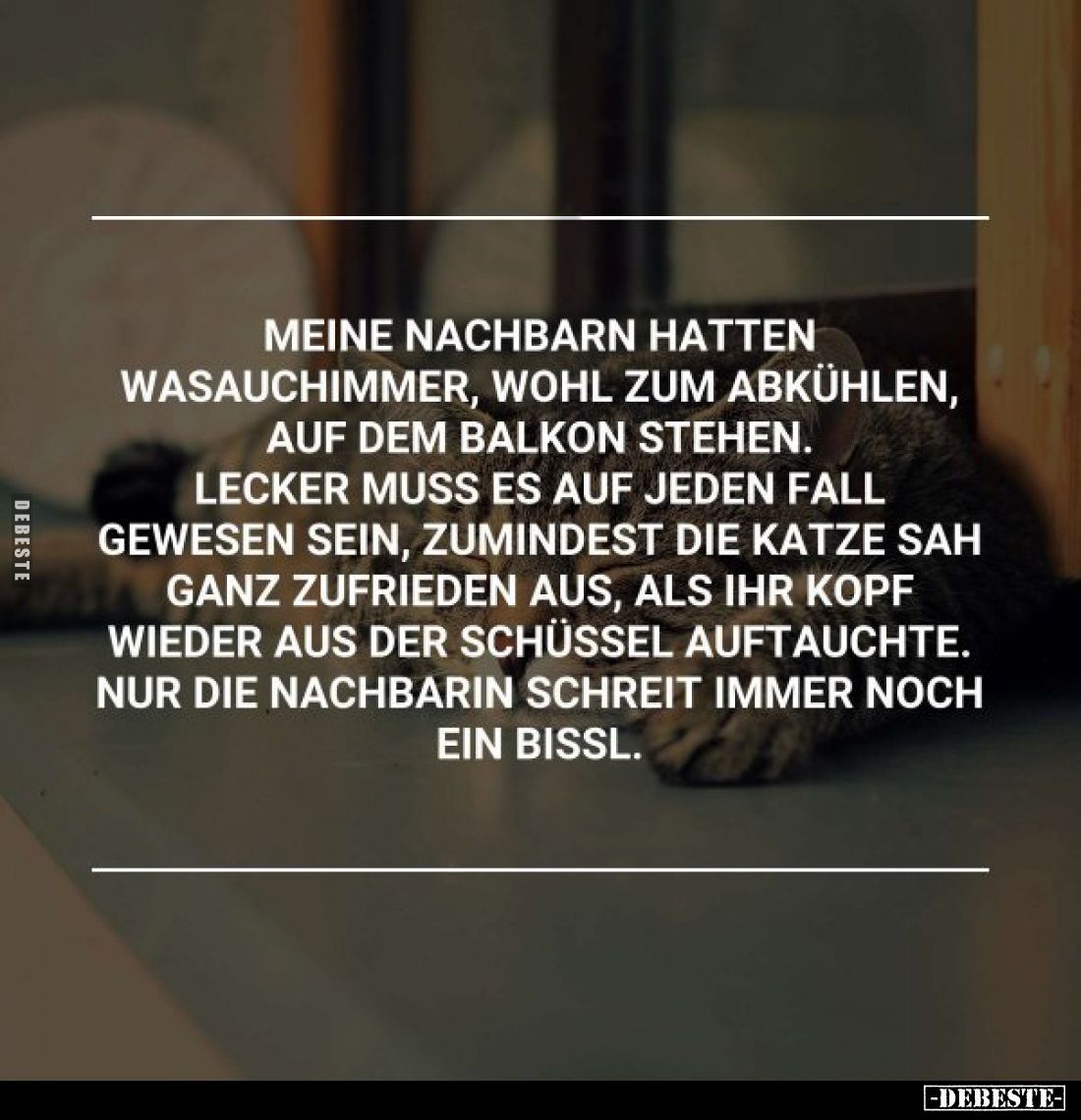 Meine Nachbarn hatten Wasauchimmer, wohl zum abkühlen, auf.. - Lustige Bilder | DEBESTE.de