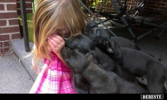  - Lustige Bilder | DEBESTE.de