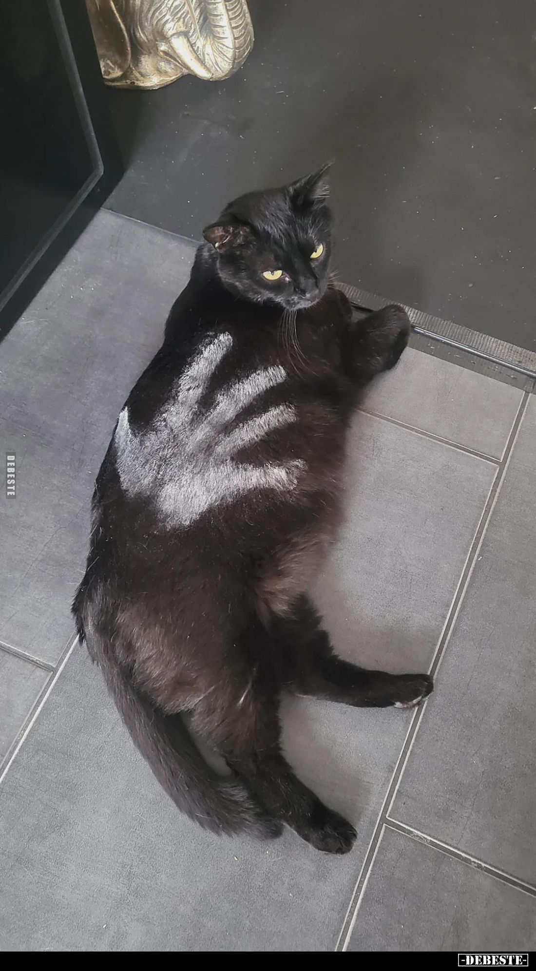 Weiße Hand Sarumans..