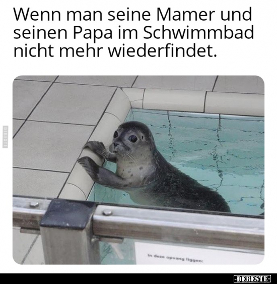 Wenn man seine Mamer und seinen Papa im Schwimmbad nicht.. - Lustige Bilder | DEBESTE.de