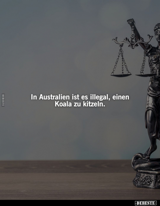 In Australien ist es illegal, einen Koala zu kitzeln... - Lustige Bilder | DEBESTE.de