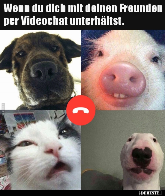 Wenn du dich mit deinen Freunden per Videochat..