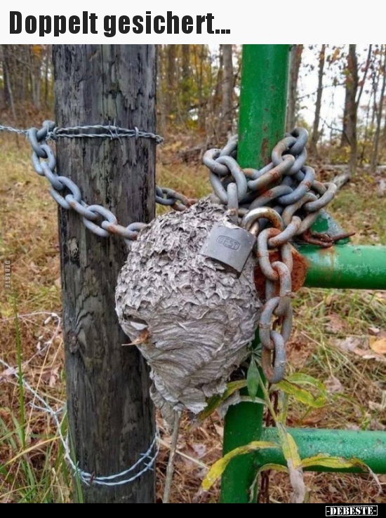 Doppelt gesichert...