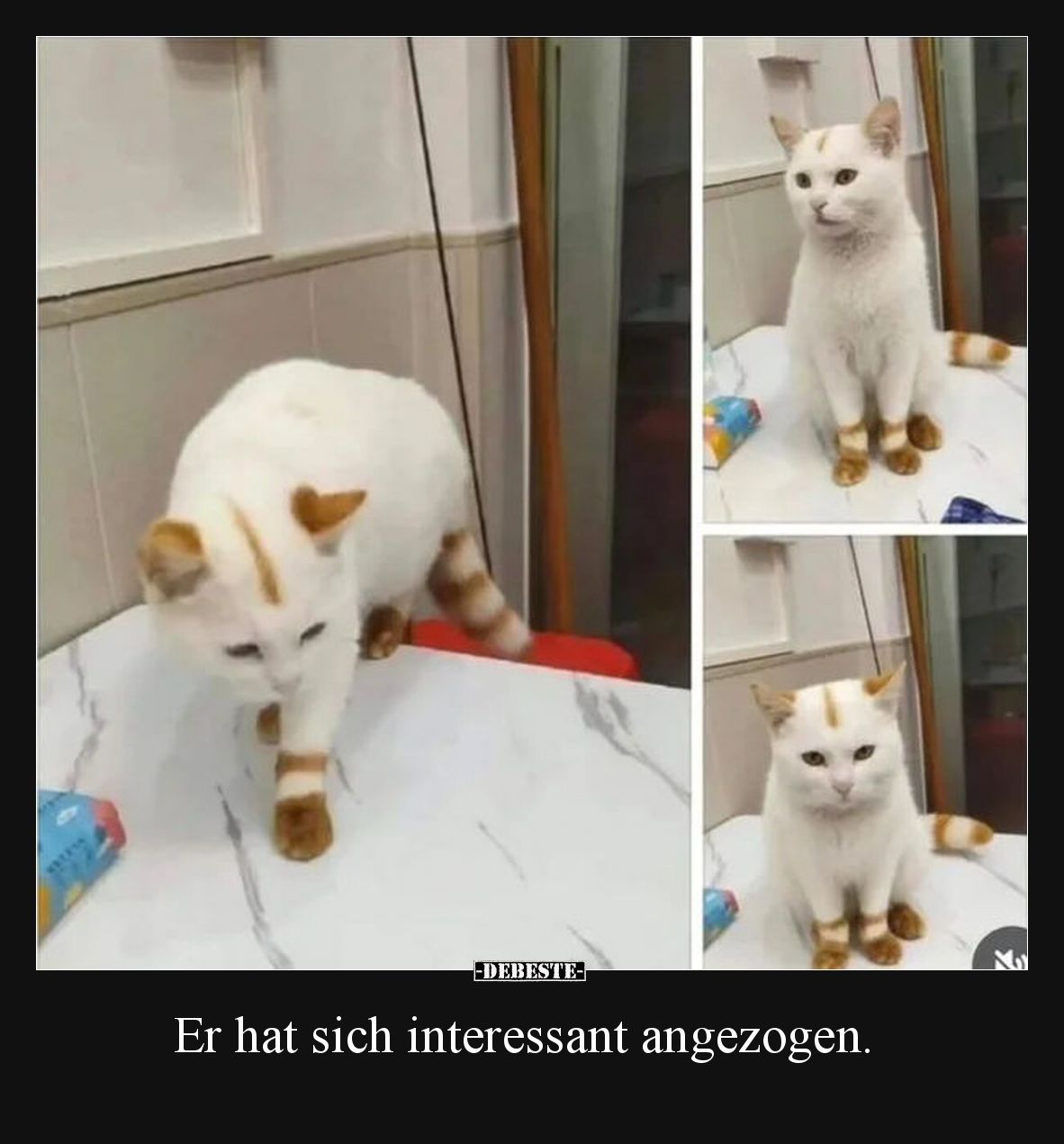 Er hat sich interessant angezogen.