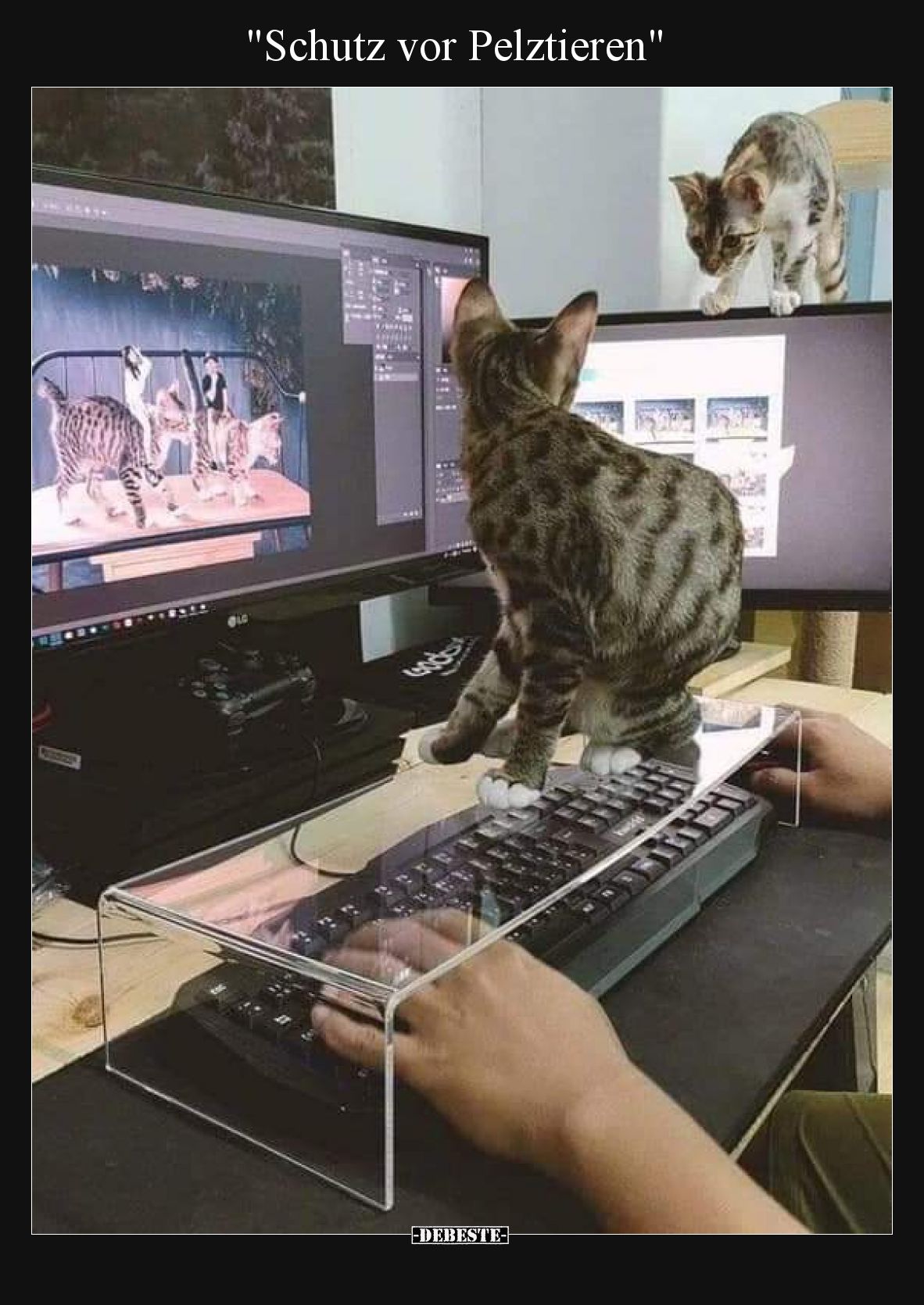 Schutz vor Pelztieren