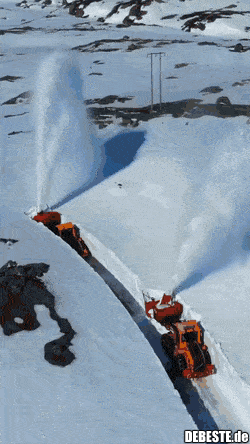  - Lustige Bilder | DEBESTE.de