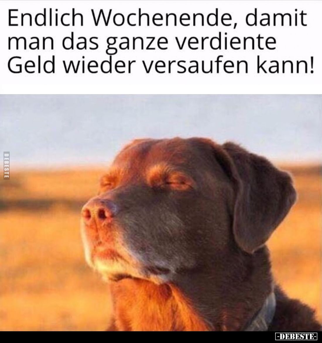 Endlich Wochenende, damit man das ganze verdiente Geld wieder versaufen kann!