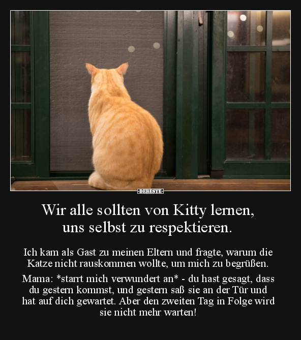 Wir alle sollten von Kitty lernen, uns selbst zu.. - Lustige Bilder | DEBESTE.de