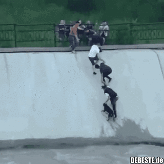 Rettungsaktion für einen Hund..