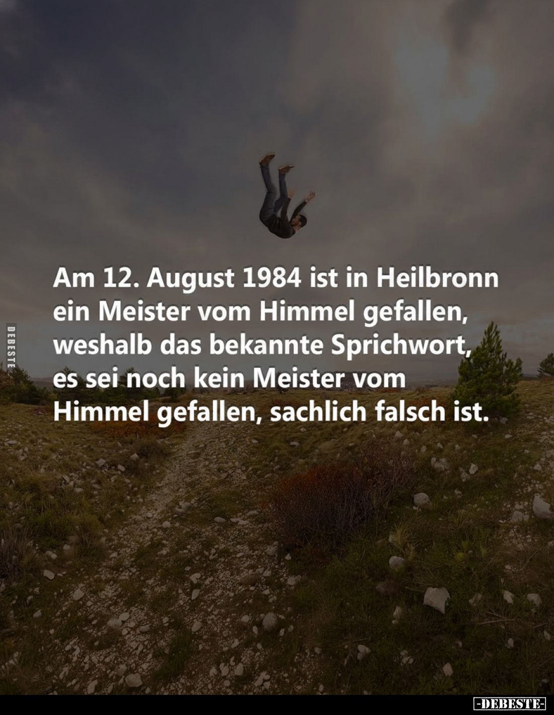 Am 12. August 1984 ist in Heilbronn ein Meister vom Himmel.. - Lustige Bilder | DEBESTE.de