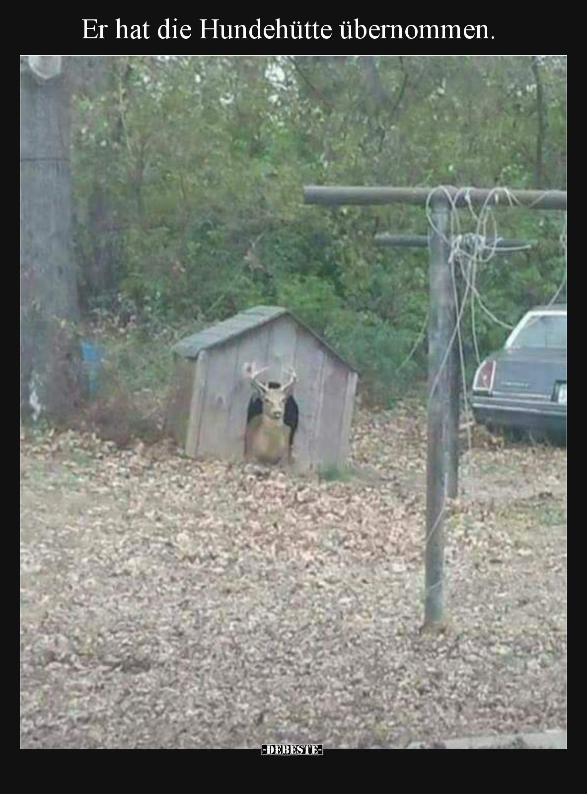 Er hat die Hundehütte übernommen.