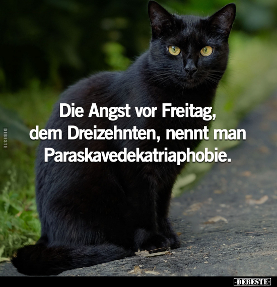 Die Angst vor Freitag, dem Dreizehnten, nennt man.. - Lustige Bilder | DEBESTE.de