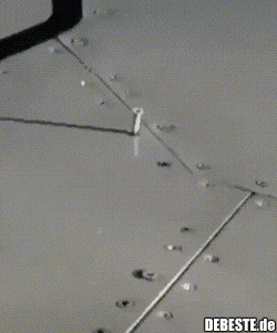  - Lustige Bilder | DEBESTE.de