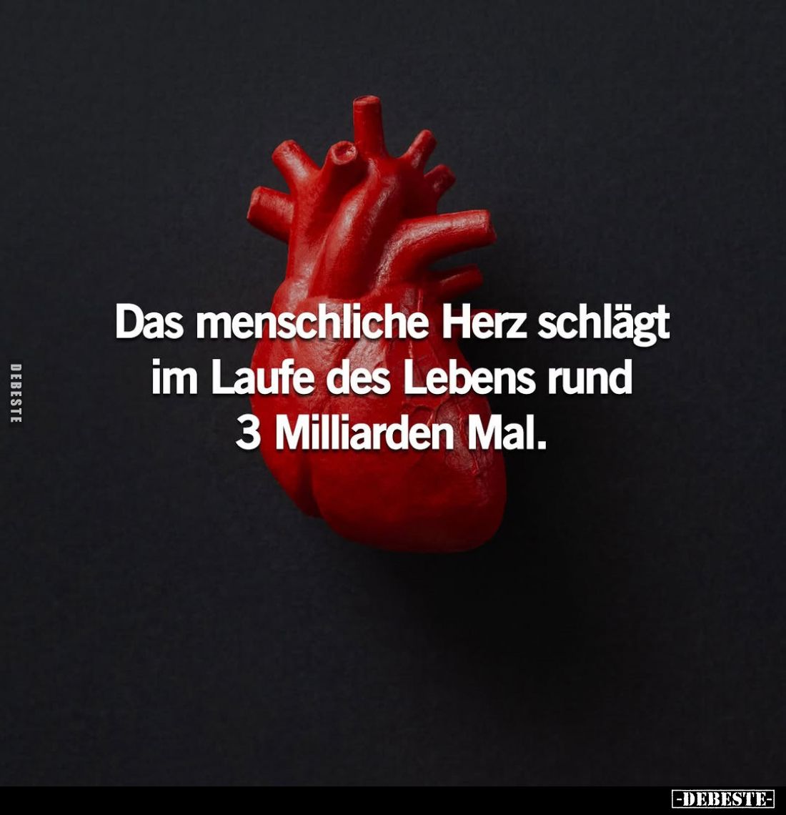 Das menschliche Herz schlägt im Laufe des Lebens rund 3 Milliarden Mal.