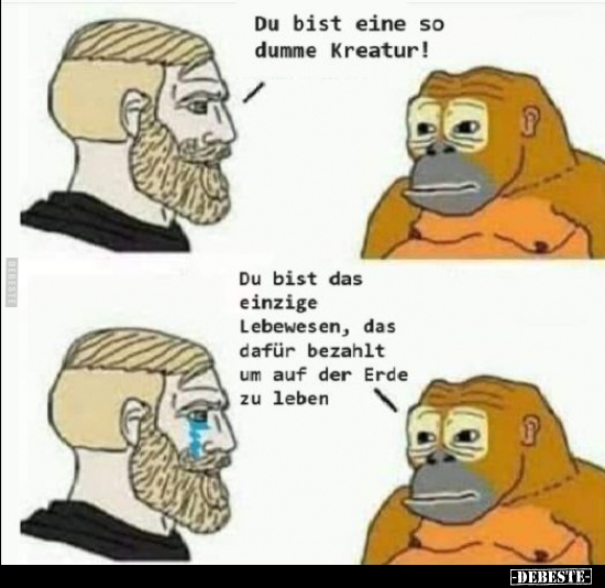 Du bist eine so dumme Kreatur!.. - Lustige Bilder | DEBESTE.de