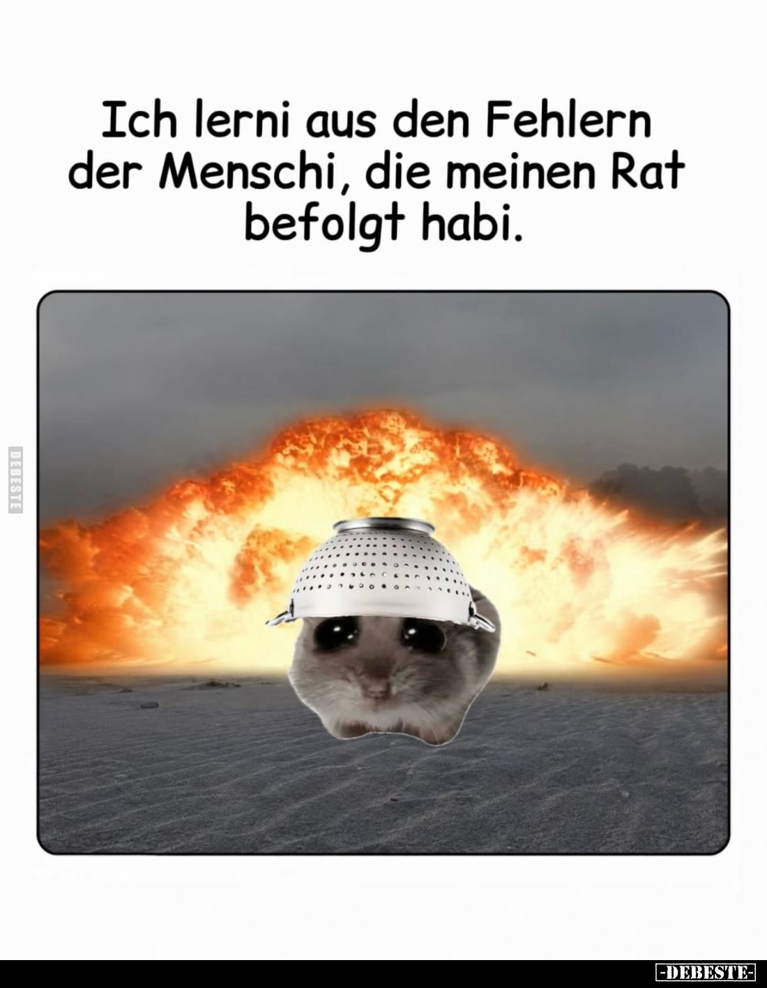 Ich lerni aus den Fehlern der Menschi, die meinen Rat befolgt habi.