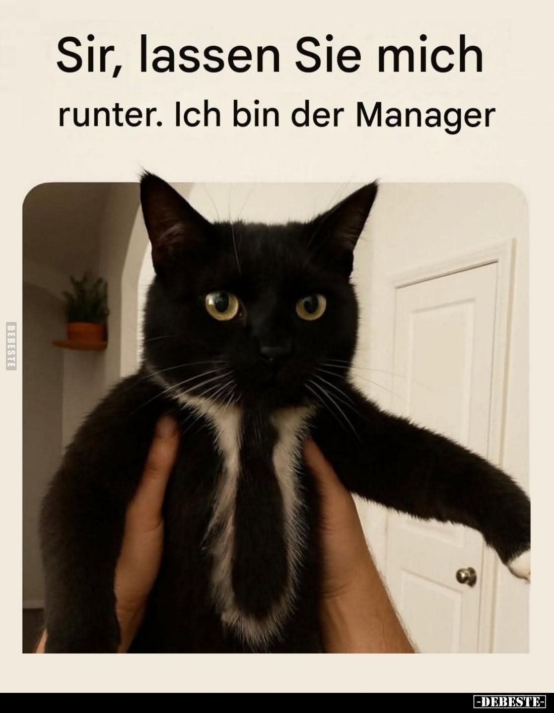 Sir, lassen Sie mich
runter. Ich bin der Manager.