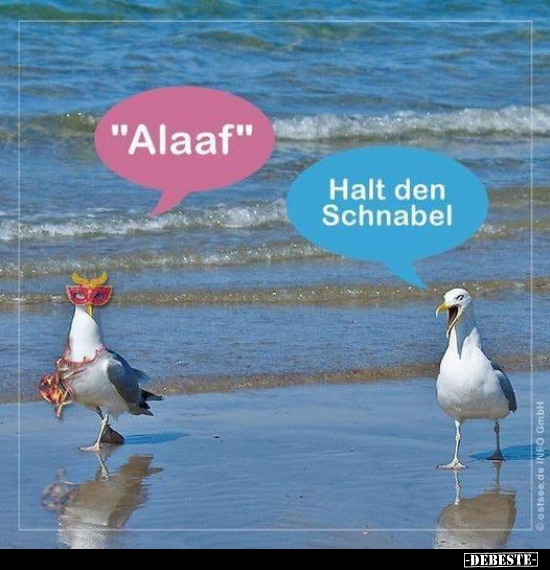 "Alaaf"..