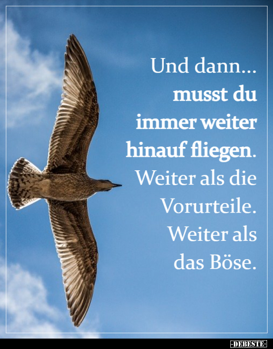 Und dann... musst du immer weiter hinauf fliegen... - Lustige Bilder | DEBESTE.de