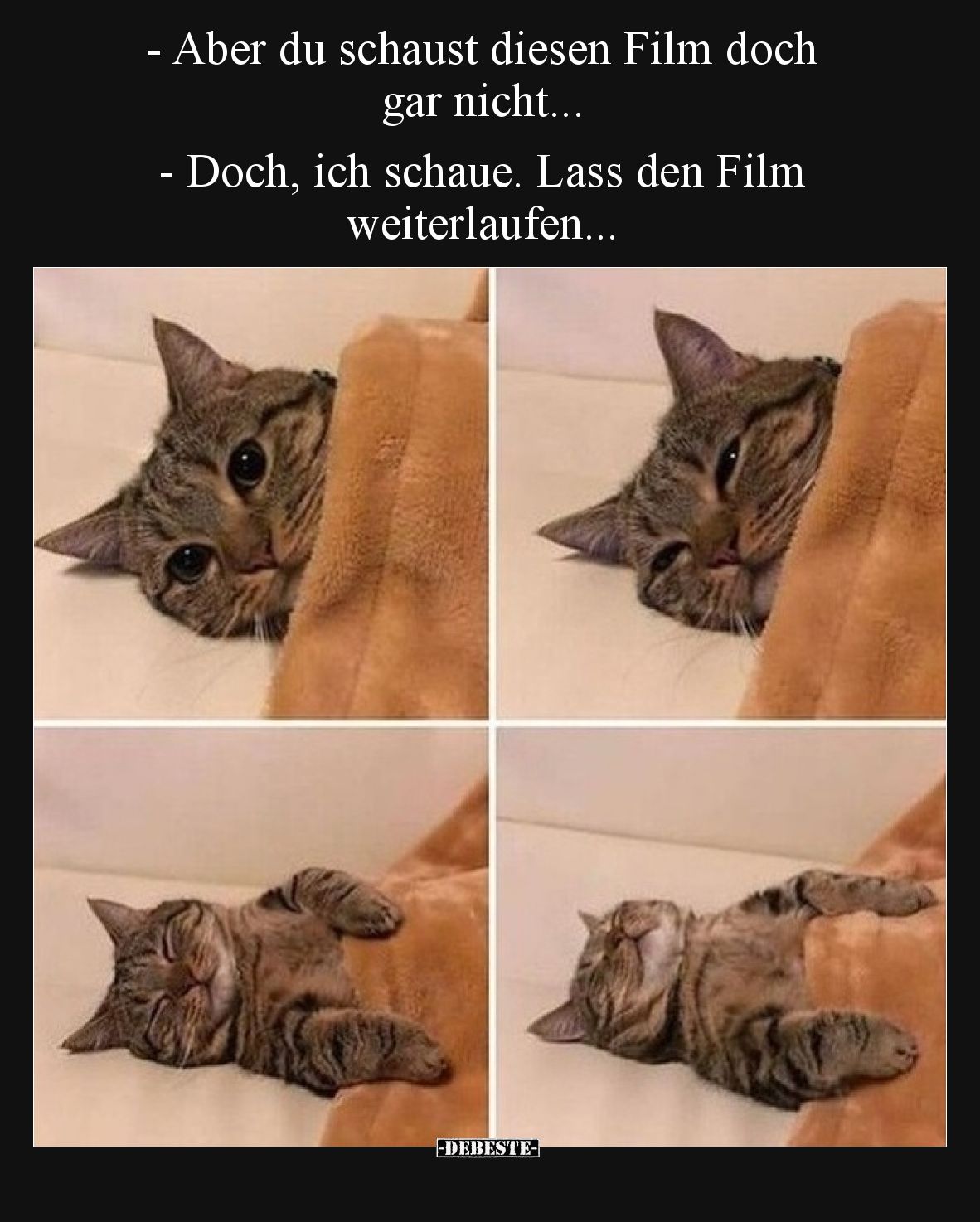 -Aber du schaust diesen Film doch gar nicht... -Doch, ich schaue. Lass den Film weiterlaufen...