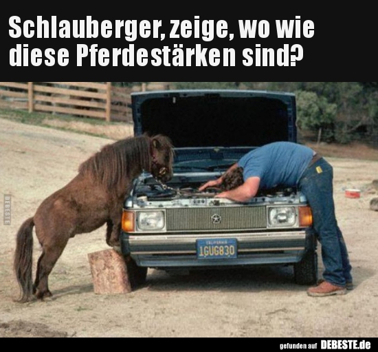 Schlauberger, zeige, wo wie diese Pferdestärken..