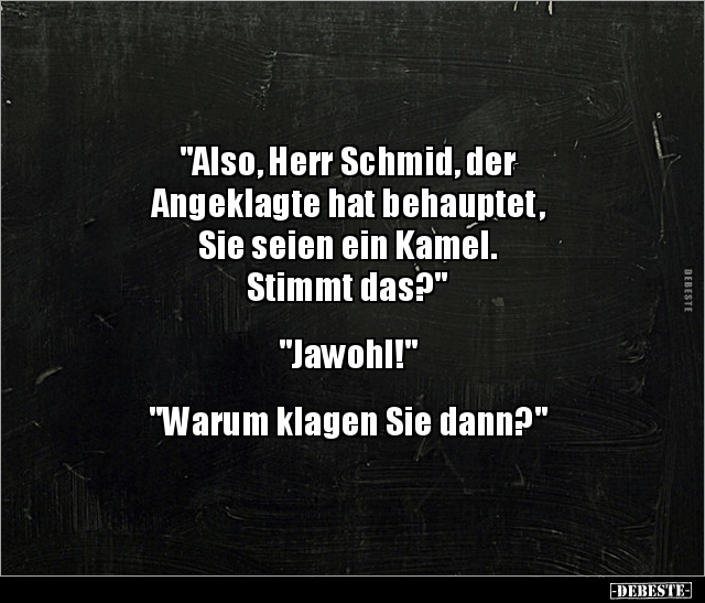 "Also, Herr Schmid, der Angeklagte hat behauptet, Sie.." - Lustige Bilder | DEBESTE.de