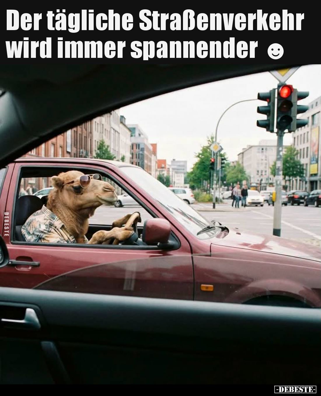 Der tägliche Straßenverkehr wird immer spannender.