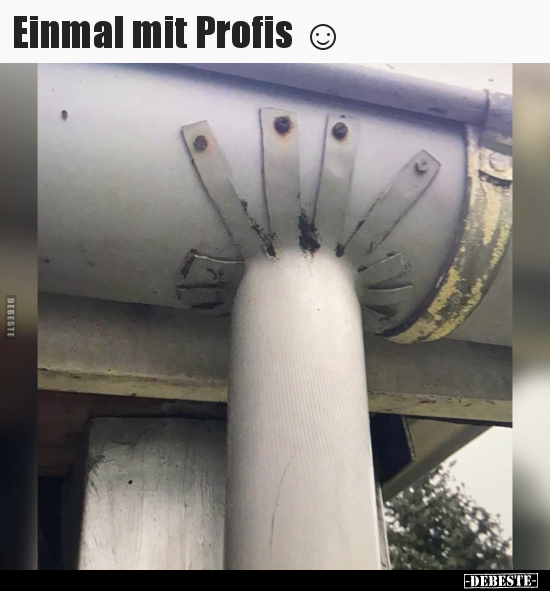 Einmal mit Profis ☺ - Lustige Bilder | DEBESTE.de