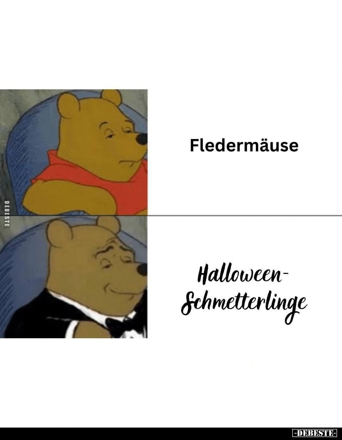Fledermäuse vs
Halloween-Schmetterlinge.