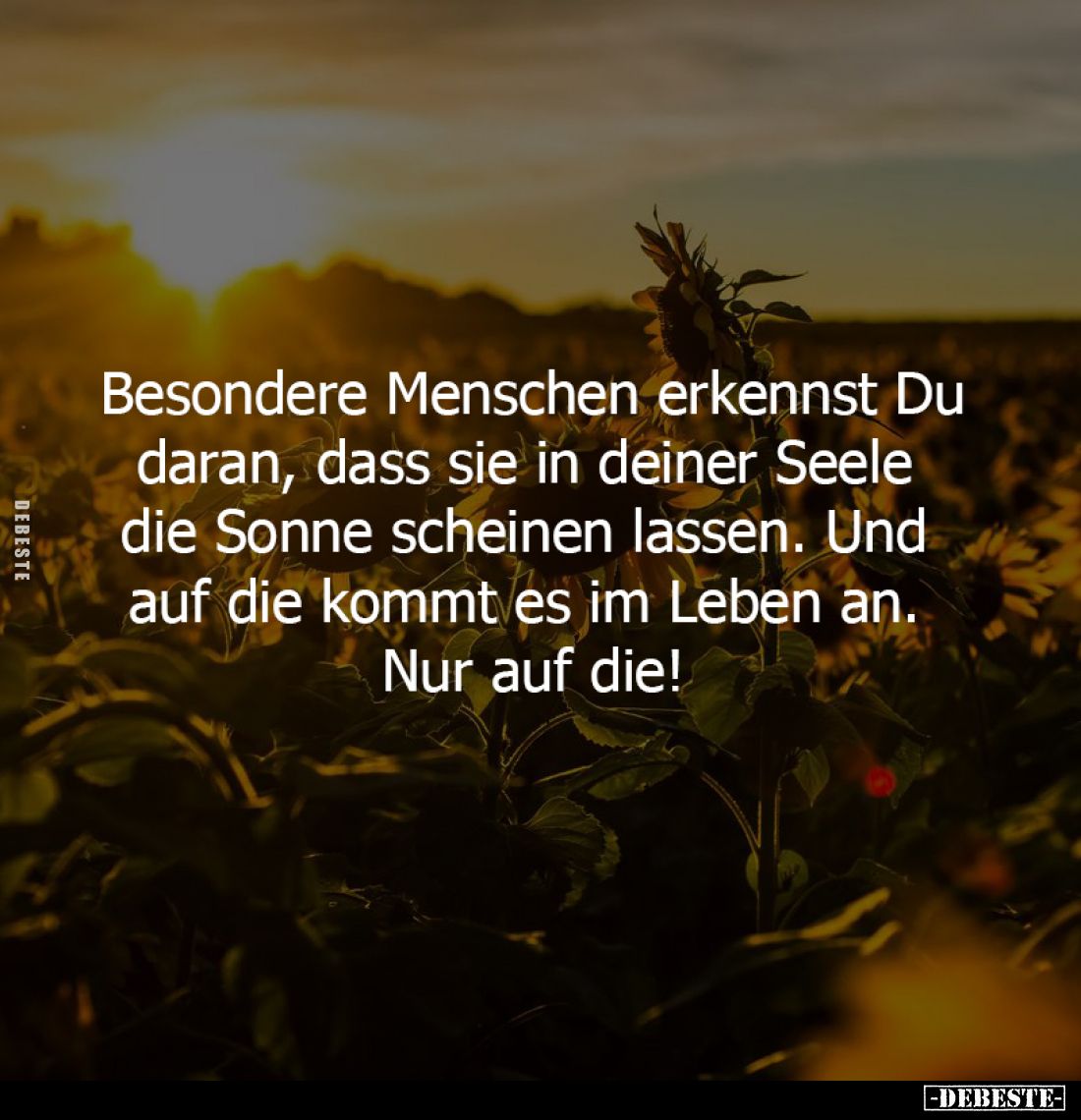 Besondere Menschen erkennst Du
daran, dass sie in deiner Seele
die Sonne scheinen lassen. Und
auf die kommt es im Leben ...