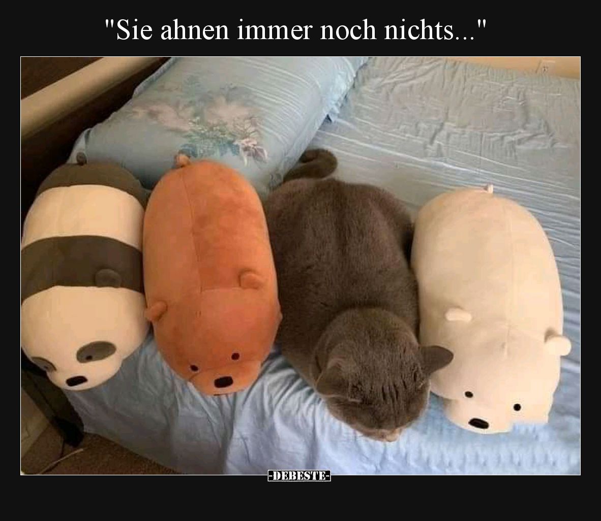 Sie ahnen immer noch nichts.
