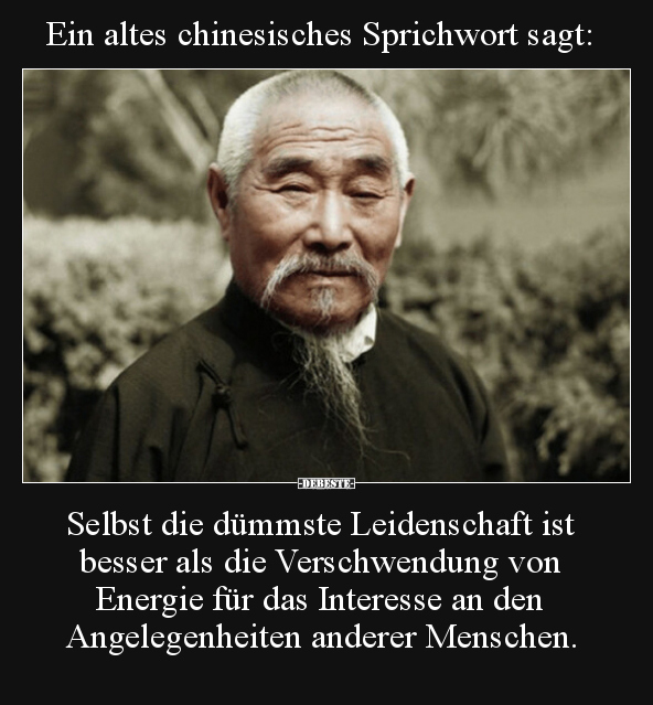 Ein altes chinesisches Sprichwort sagt: Selbst die dümmste.. - Lustige Bilder | DEBESTE.de