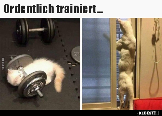 Ordentlich trainiert... - Lustige Bilder | DEBESTE.de