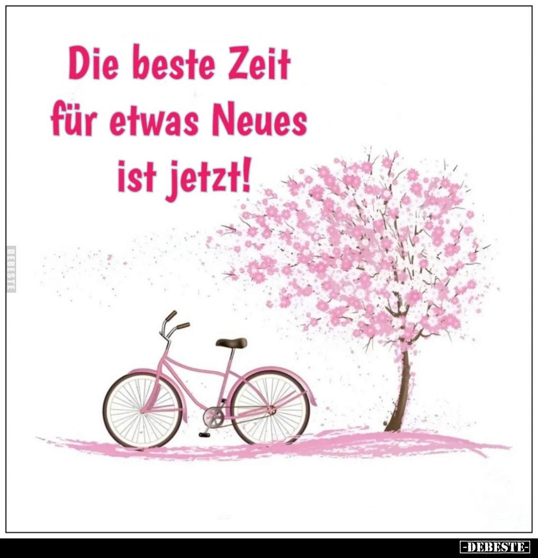 Die beste Zeit für etwas Neues ist jetzt!