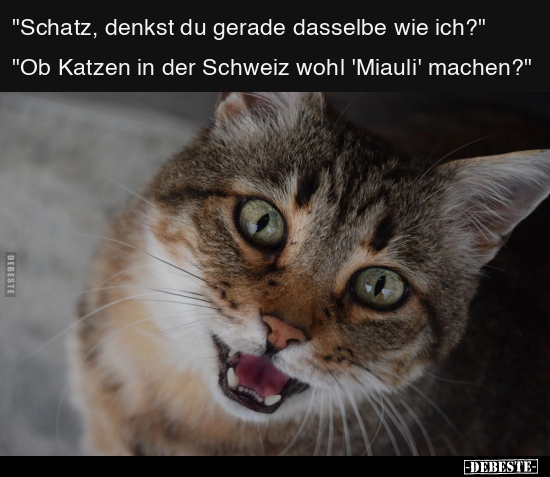 "Schatz, denkst du gerade dasselbe wie ich?".. - Lustige Bilder | DEBESTE.de