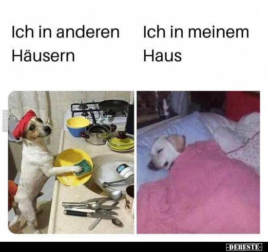 Ich in anderen Häusern..