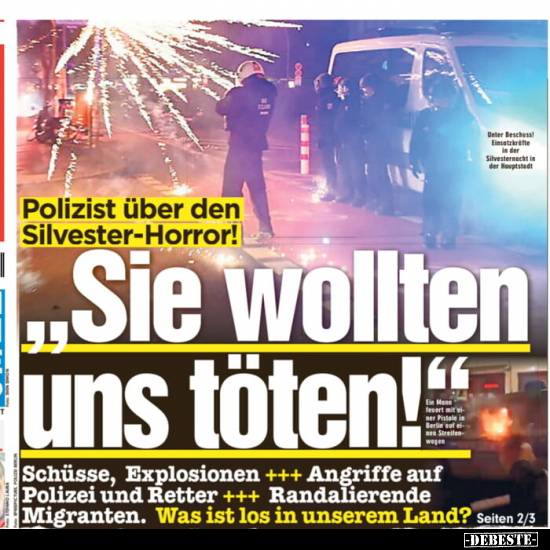 Polizist über den Silvester-Horror! "..Sie wollten uns.." - Lustige Bilder | DEBESTE.de