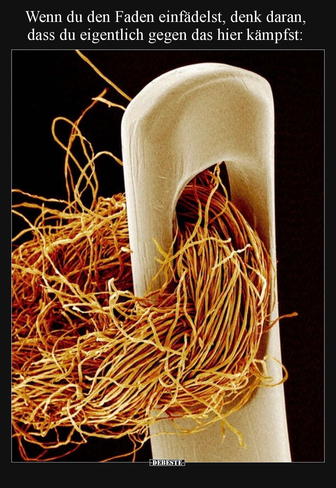 Wenn du den Faden einfädelst, denk daran, dass du eigentlich gegen das hier kämpfst:
